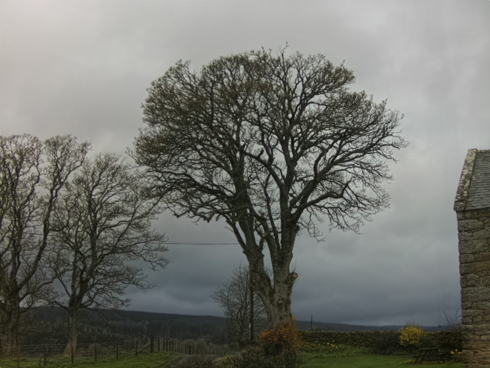 Webcam photo for 07 hrs today