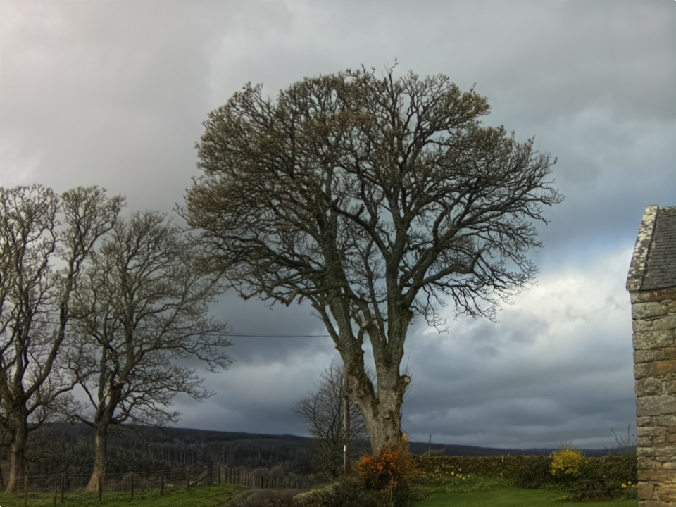 Webcam photo for 08 hrs today