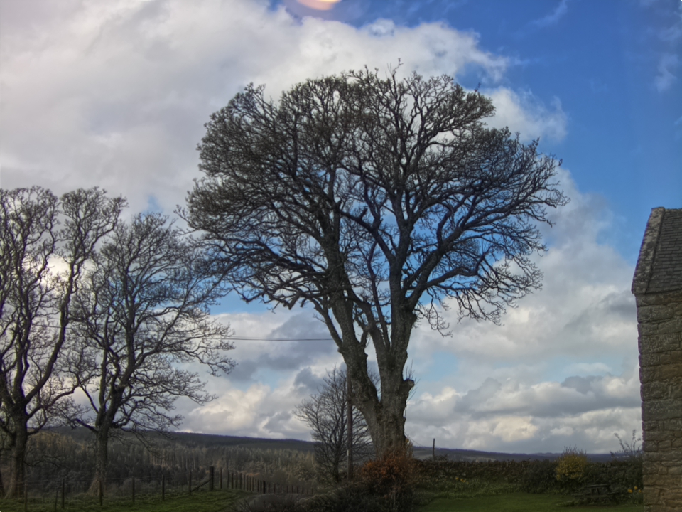 Webcam photo for 10 hrs today