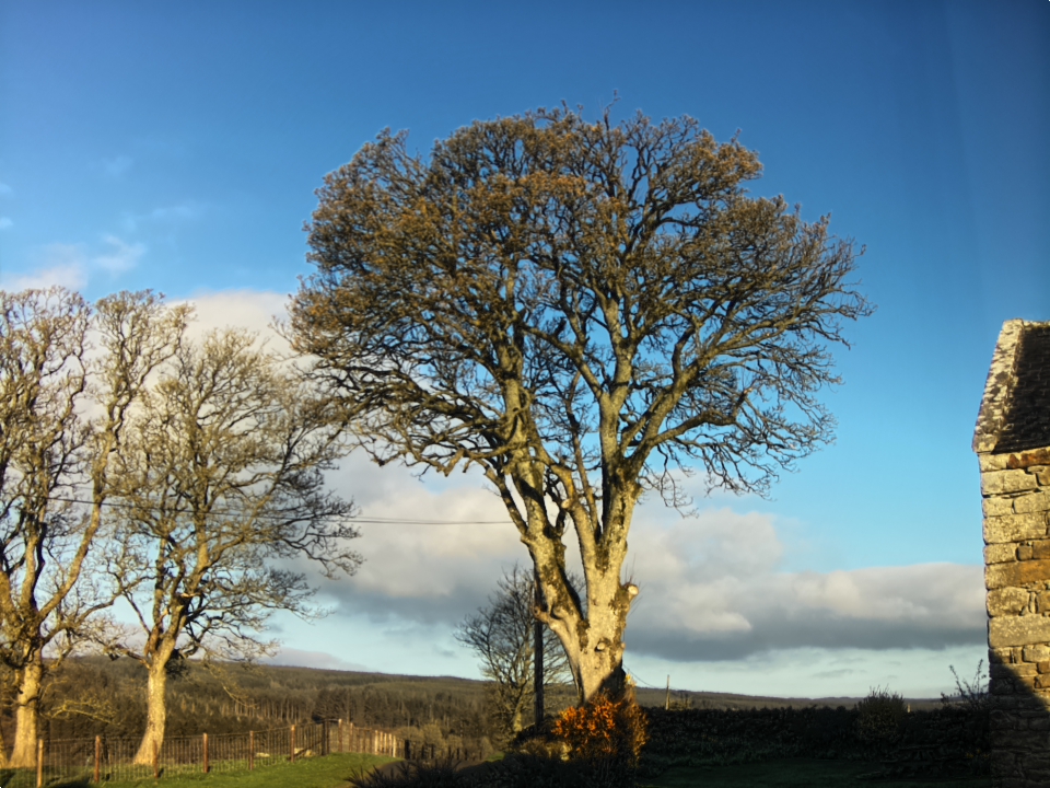 Webcam photo for 07 hrs today