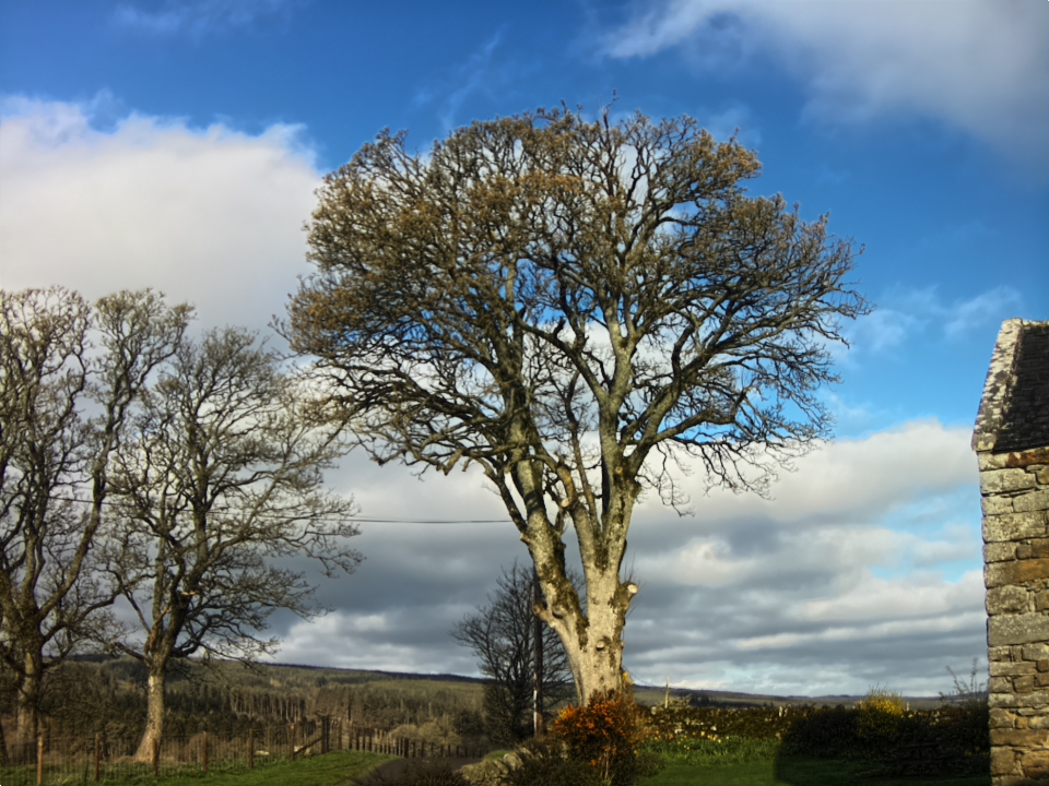 Webcam photo for 08 hrs today