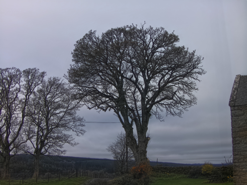 Webcam photo for 07 hrs today