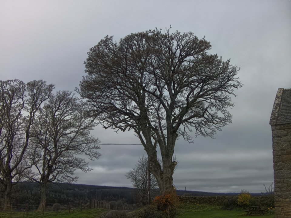 Webcam photo for 08 hrs today