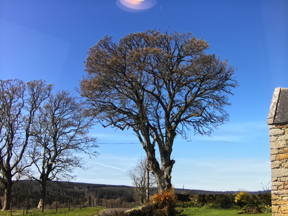 Webcam photo for 12 hrs today