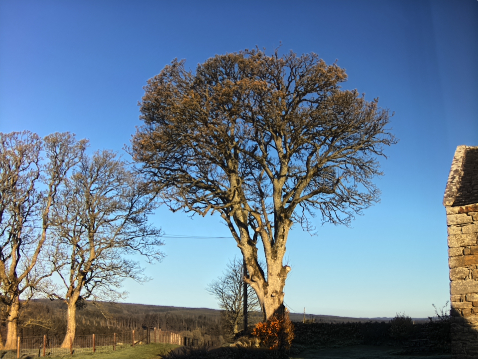 Webcam photo for 07 hrs today