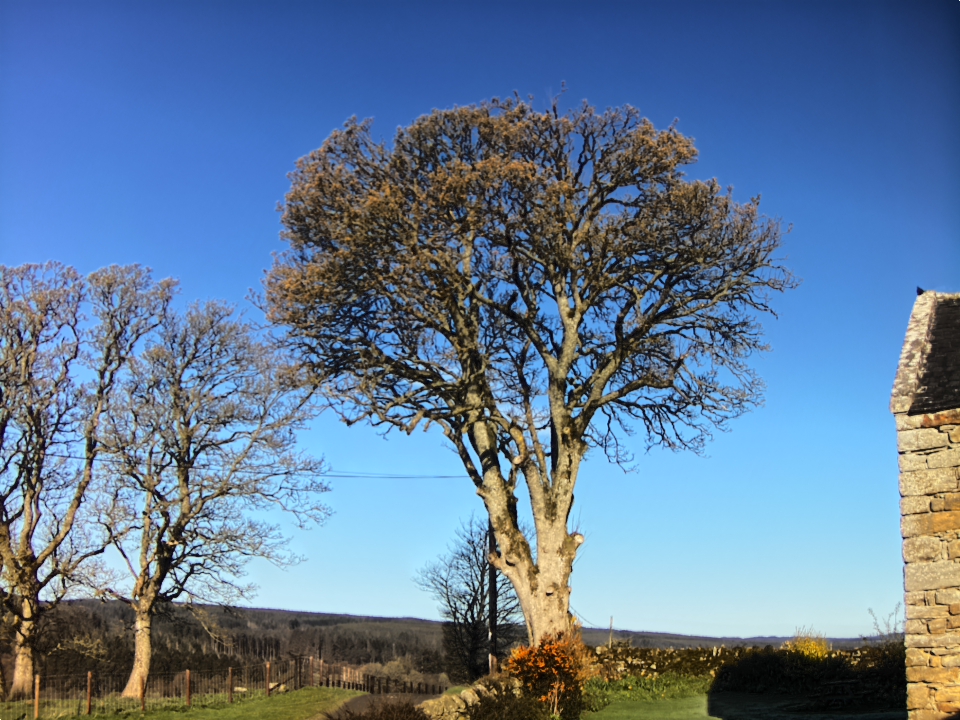 Webcam photo for 08 hrs today