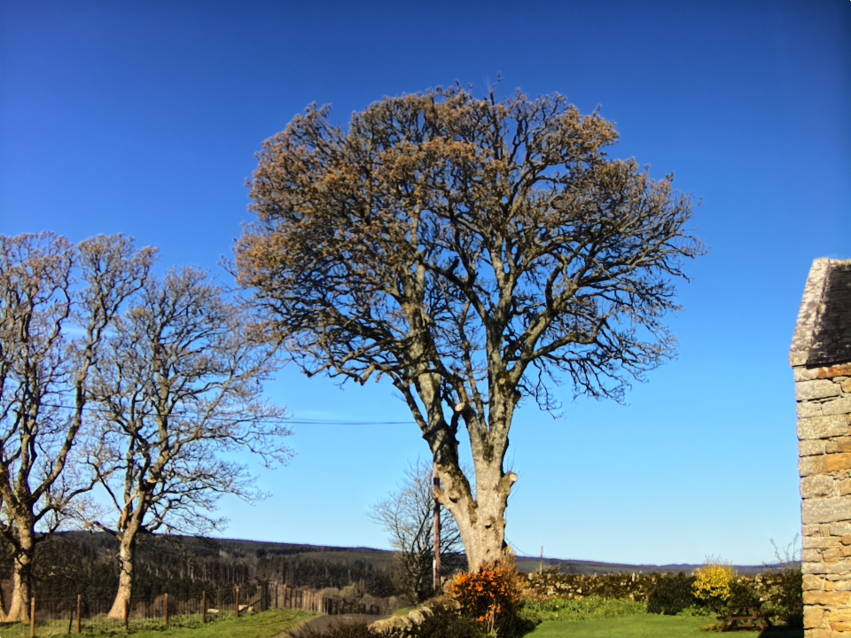 Webcam photo for 09 hrs today