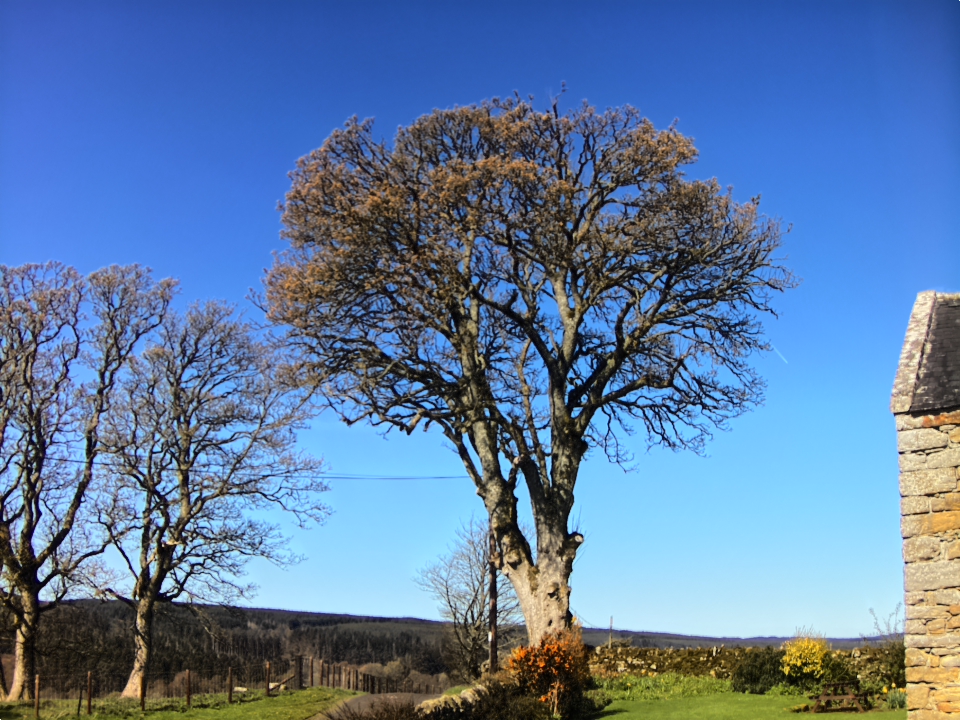 Webcam photo for 10 hrs today