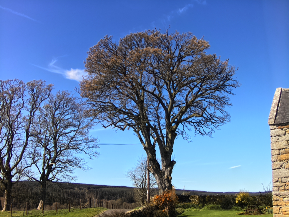 Webcam photo for 12 hrs today