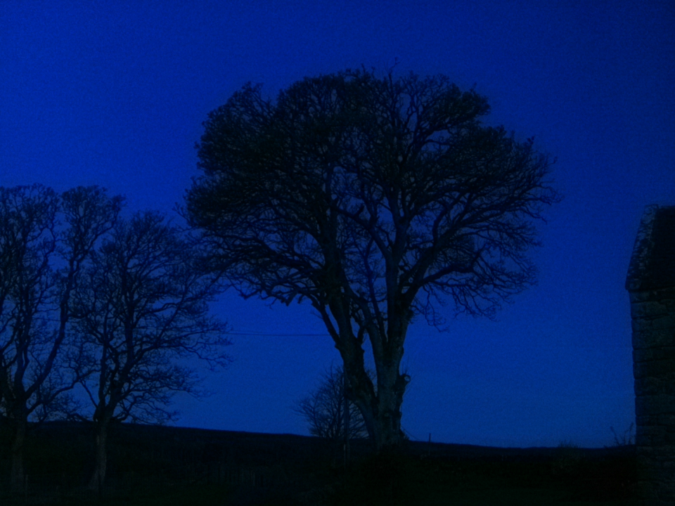 Webcam photo for 05 hrs today