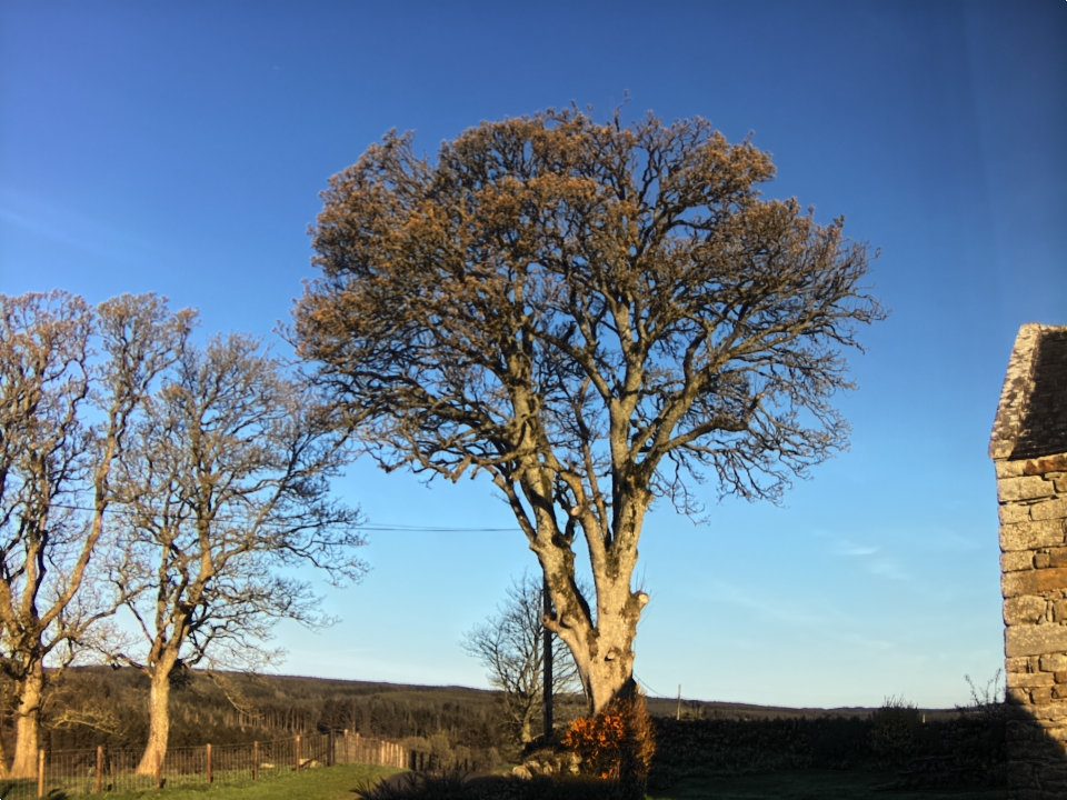 Webcam photo for 07 hrs today