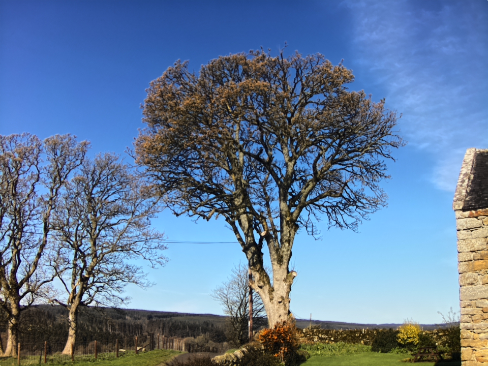 Webcam photo for 09 hrs today