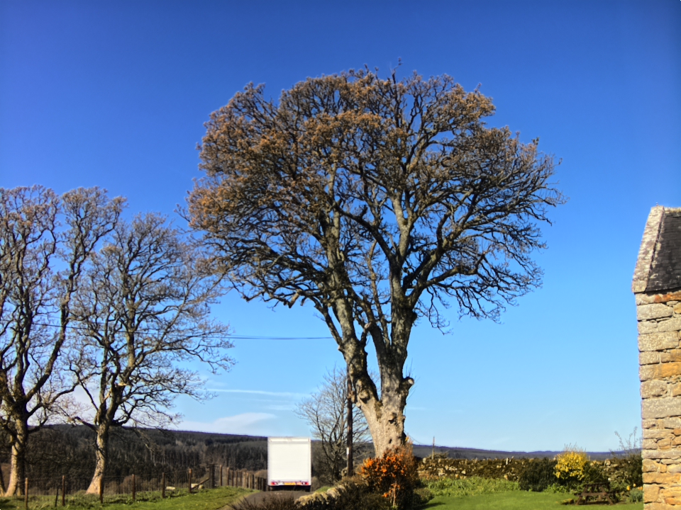 Webcam photo for 10 hrs today