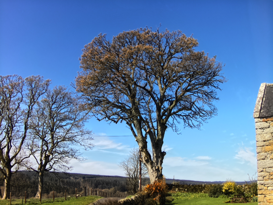 Webcam photo for 11 hrs today