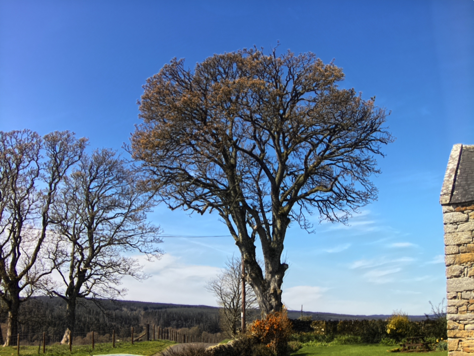 Webcam photo for 12 hrs today