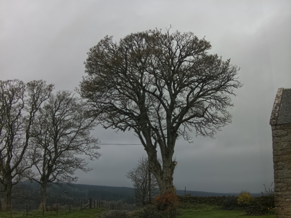 Webcam photo for 06 hrs today