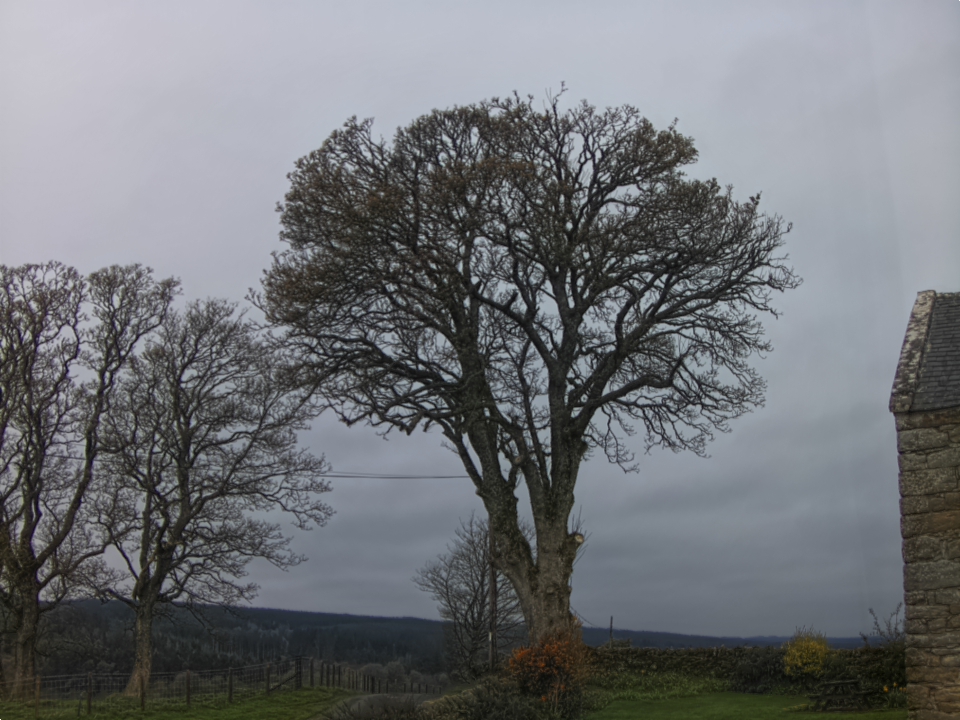 Webcam photo for 07 hrs today