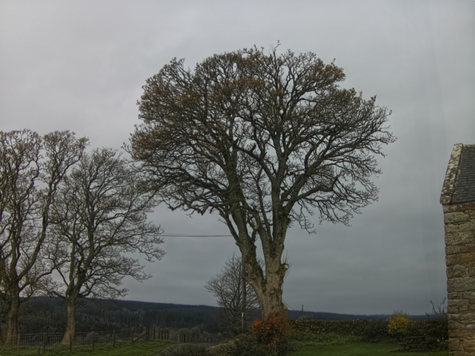 Webcam photo for 08 hrs today