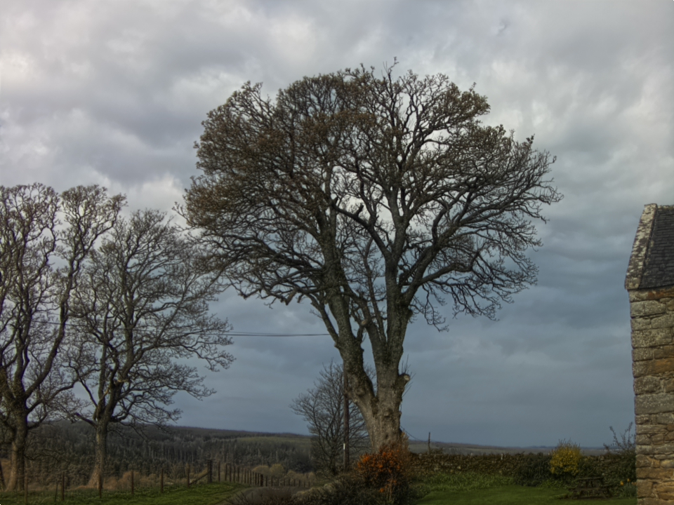 Webcam photo for 10 hrs today