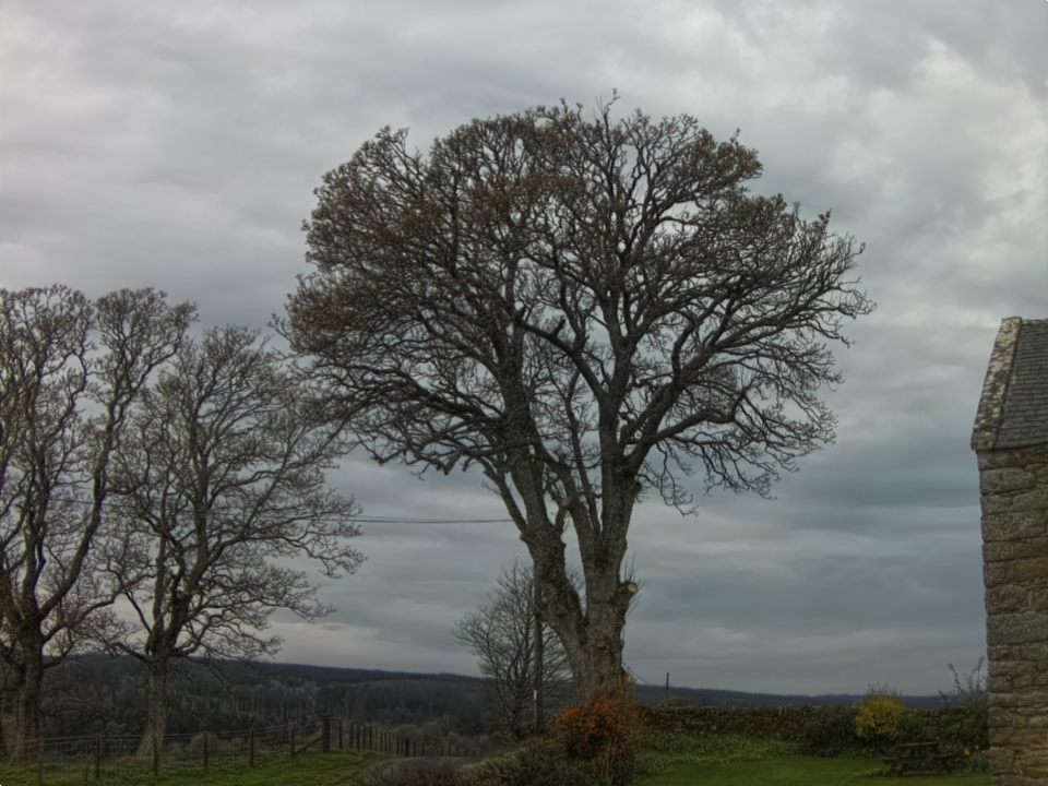 Webcam photo for 11 hrs today