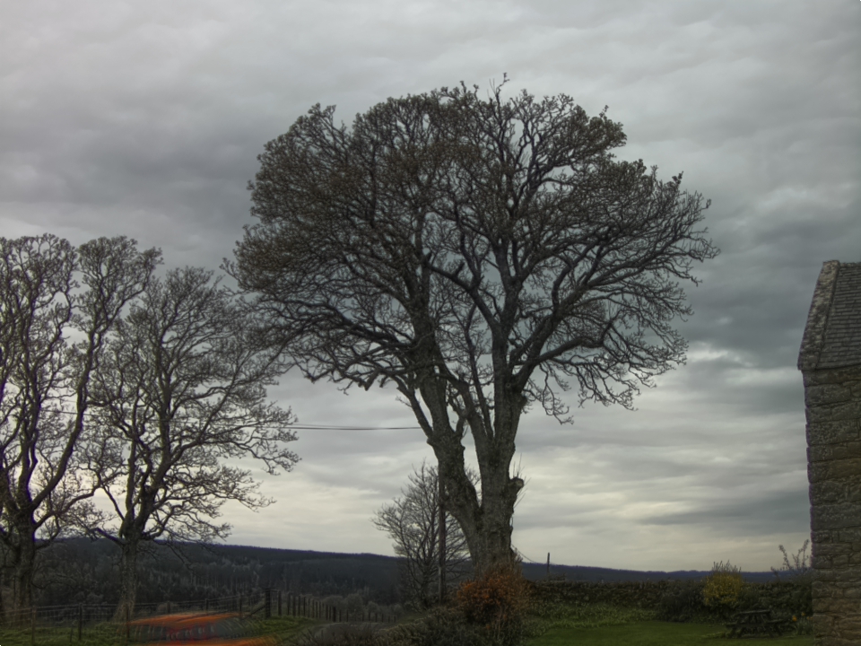 Webcam photo for 12 hrs today