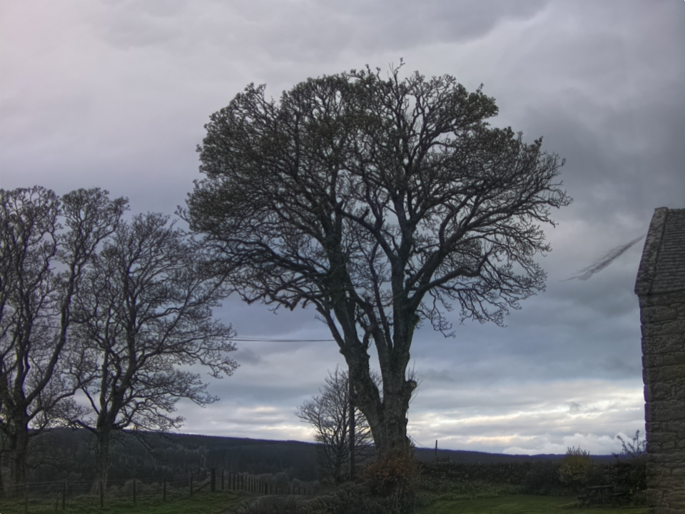 Webcam photo for 07 hrs today