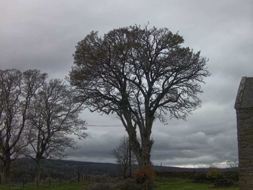 Webcam photo for 08 hrs today