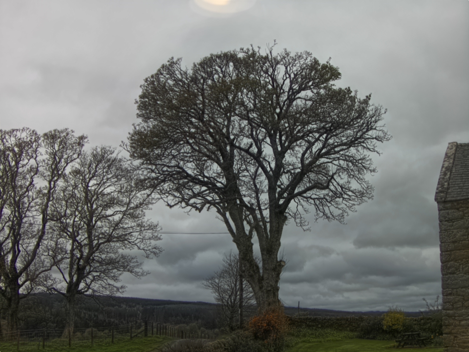 Webcam photo for 10 hrs today