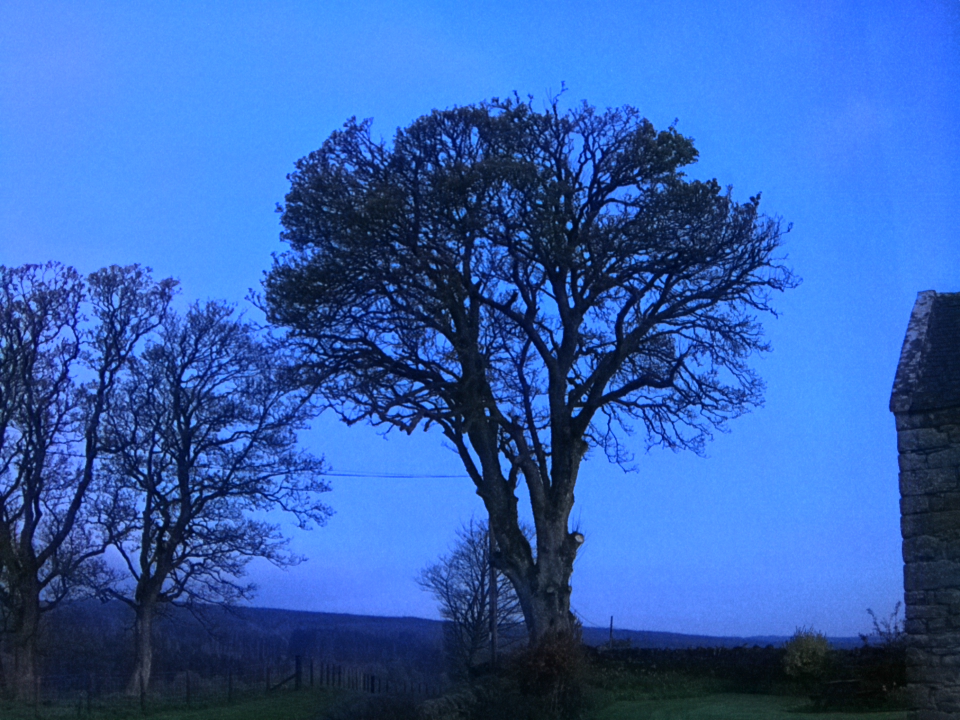 Webcam photo for 05 hrs today