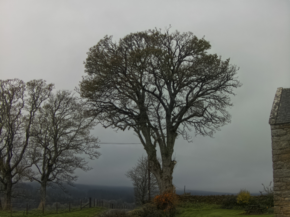 Webcam photo for 08 hrs today