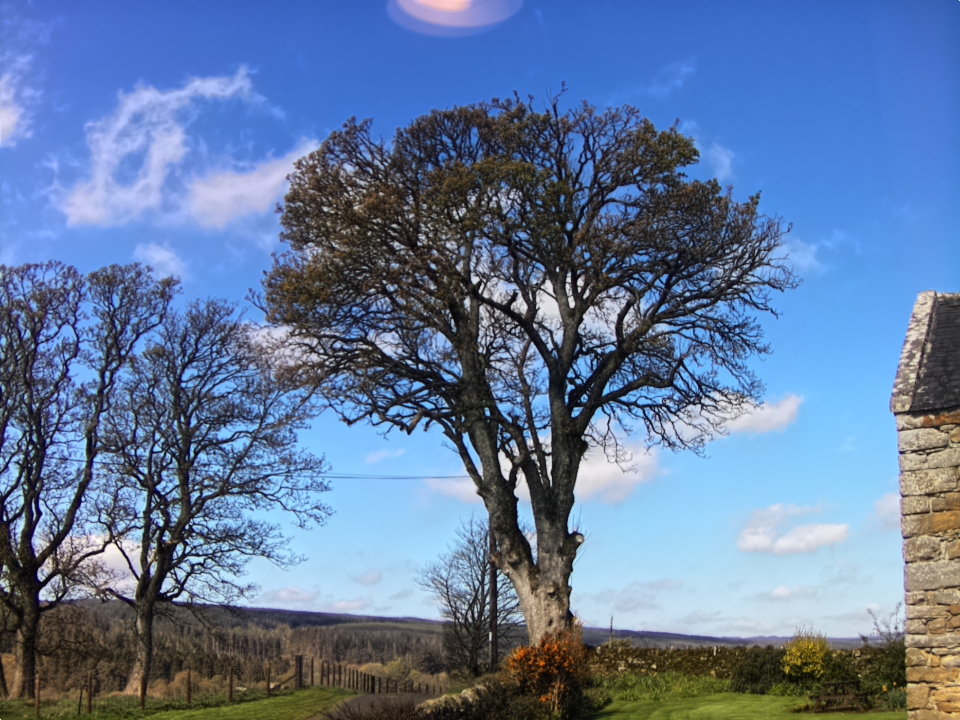 Webcam photo for 10 hrs today