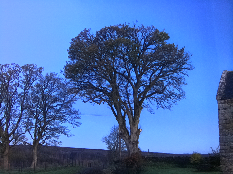 Webcam photo for 05 hrs today