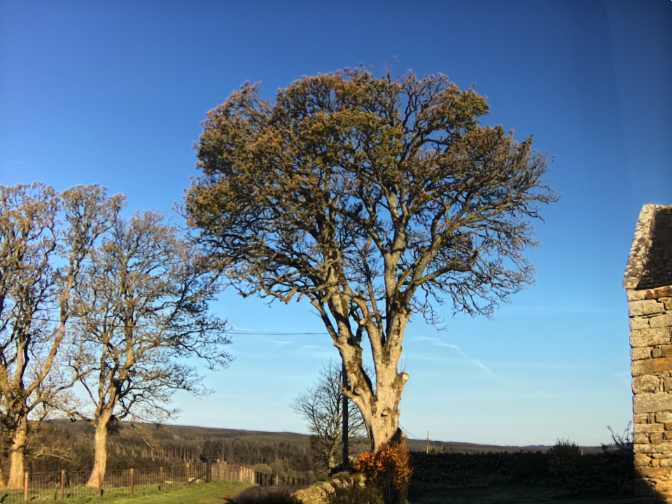 Webcam photo for 07 hrs today