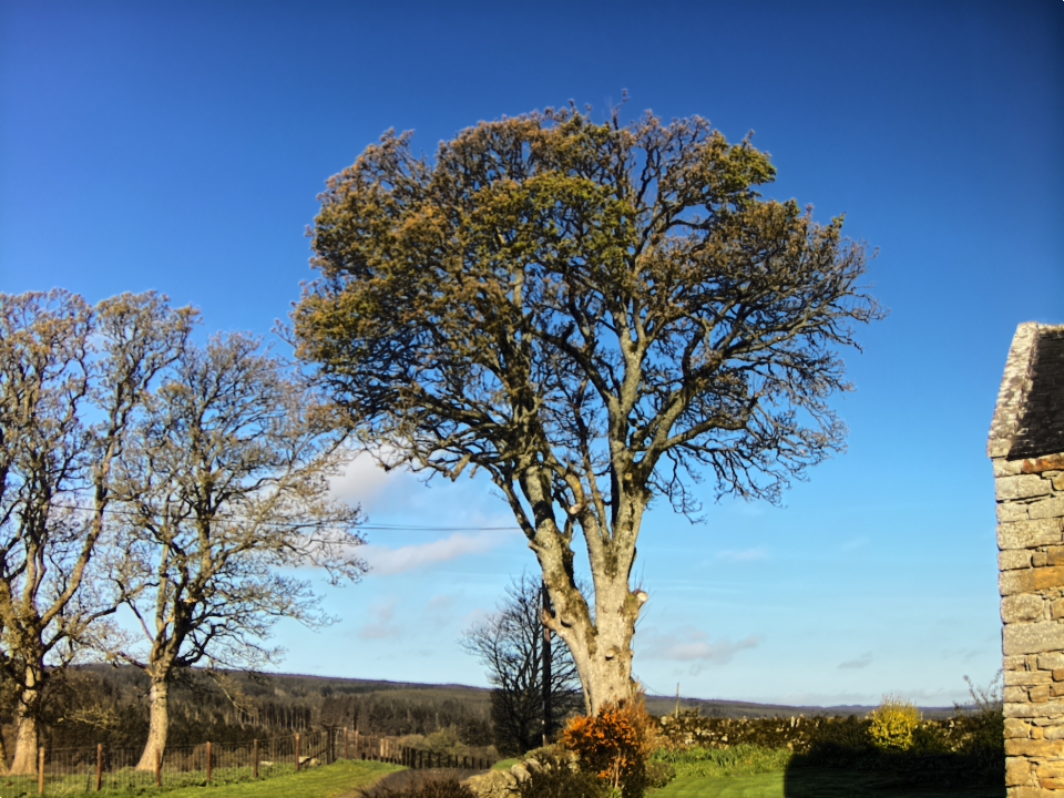 Webcam photo for 08 hrs today