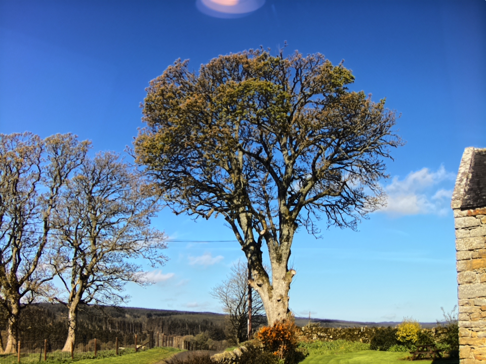 Webcam photo for 09 hrs today