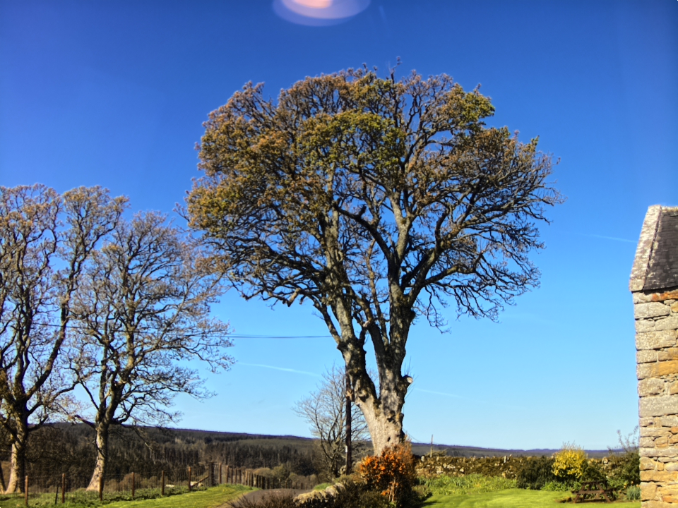 Webcam photo for 10 hrs today