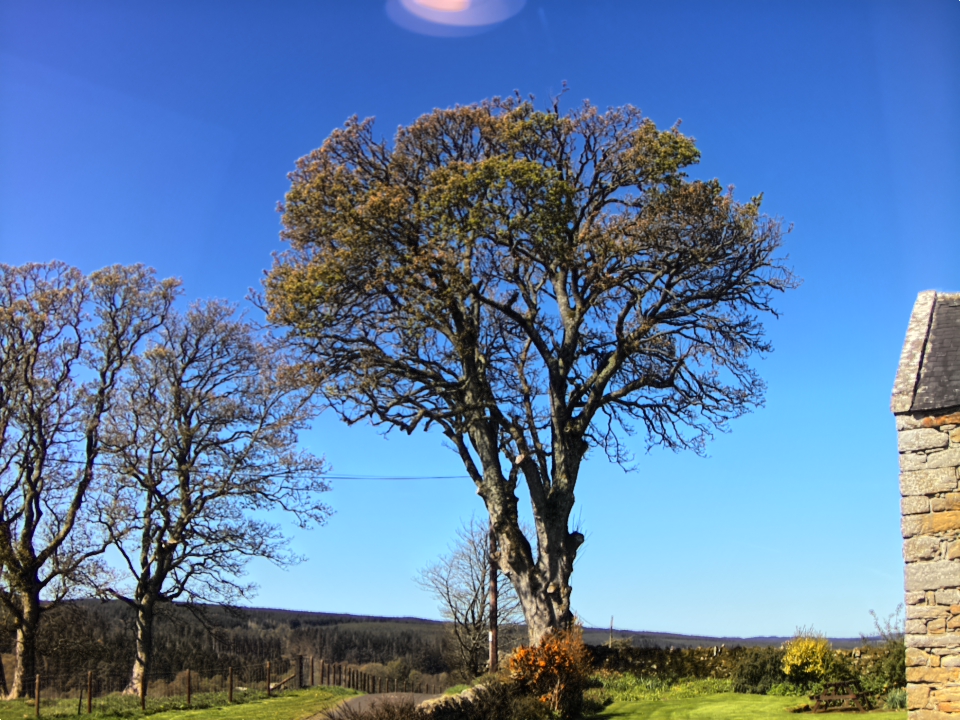 Webcam photo for 11 hrs today