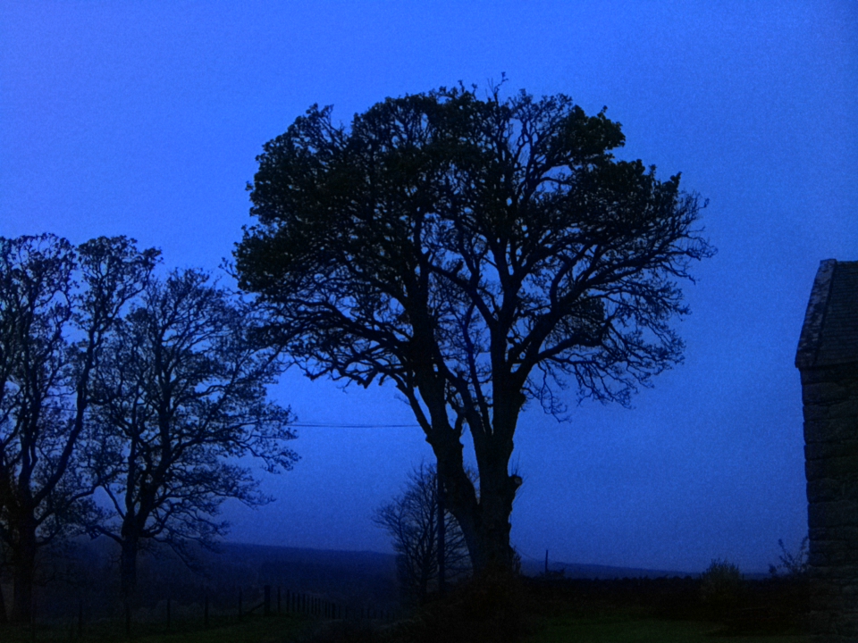 Webcam photo for 05 hrs today