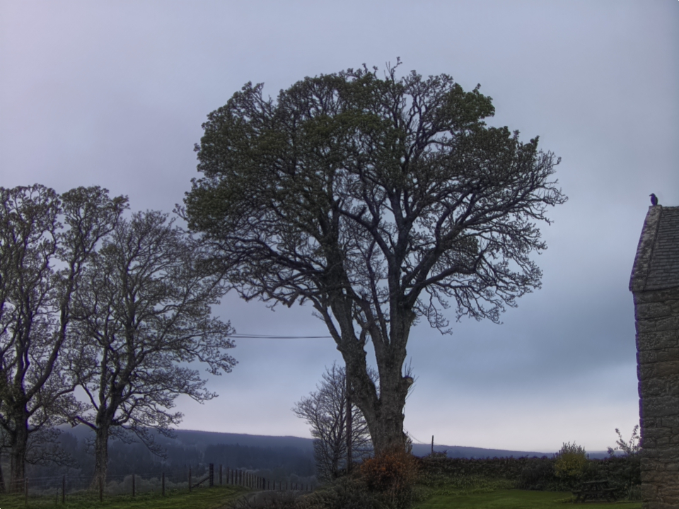 Webcam photo for 07 hrs today