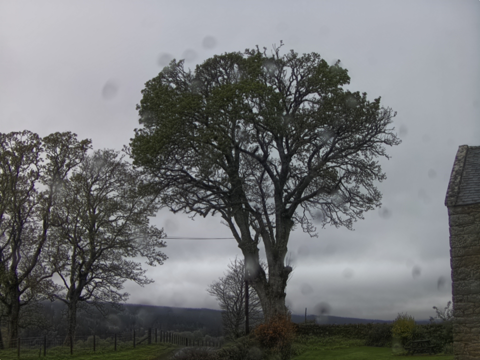 Webcam photo for 09 hrs today