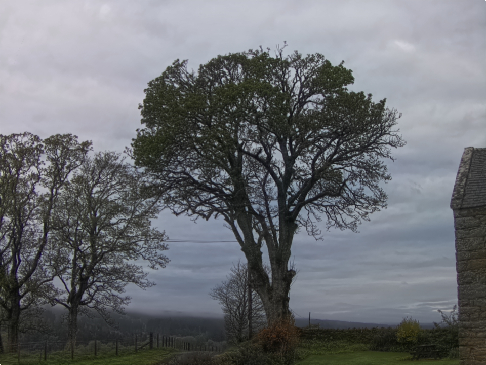 Webcam photo for 07 hrs today