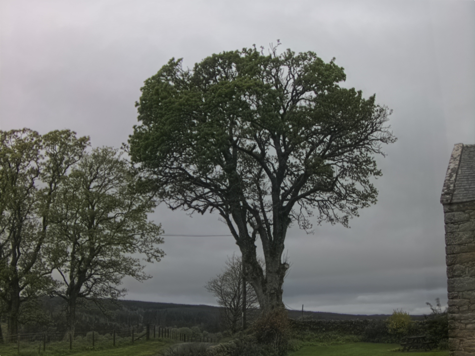 Webcam photo for 08 hrs today