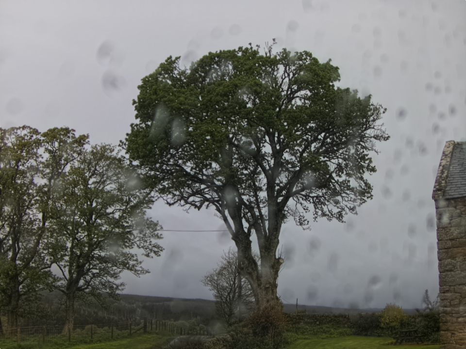Webcam photo for 07 hrs today