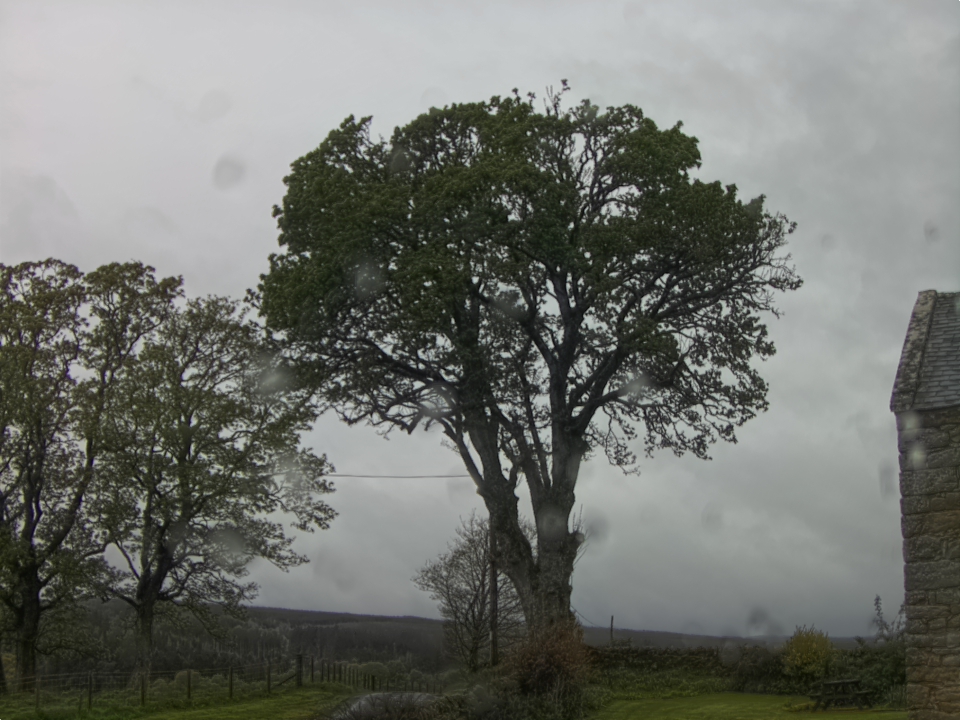 Webcam photo for 08 hrs today