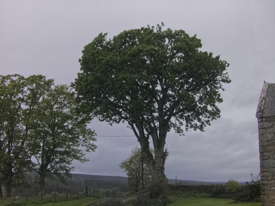 Webcam photo for 07 hrs today