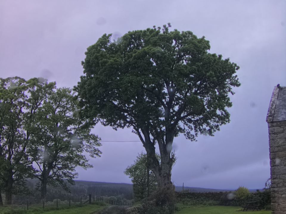 Webcam photo for 05 hrs today