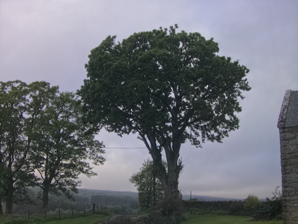 Webcam photo for 07 hrs today