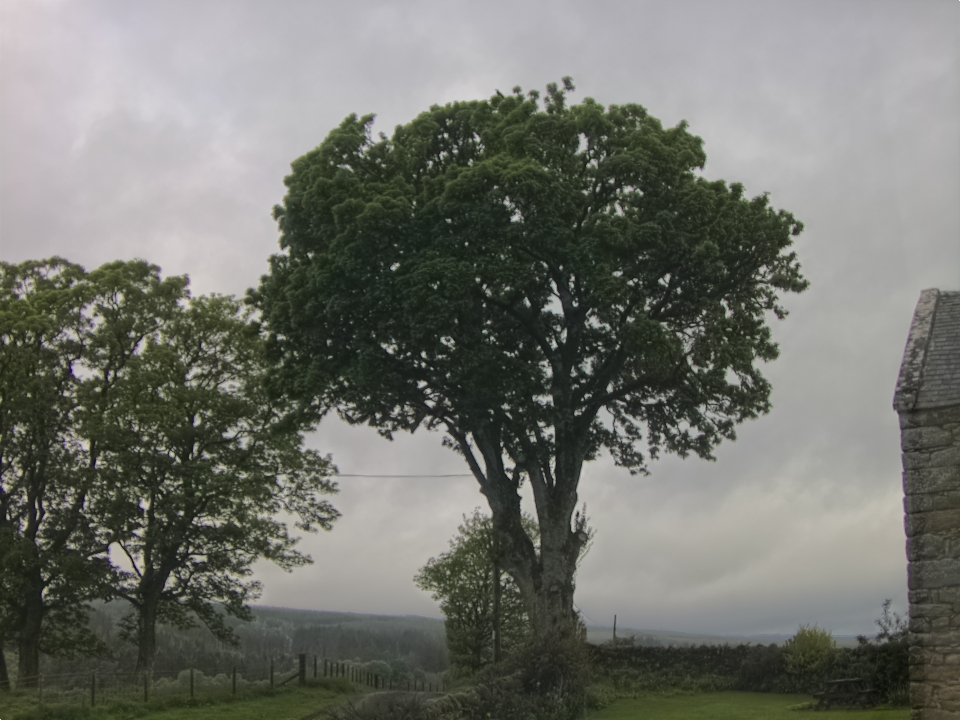 Webcam photo for 08 hrs today