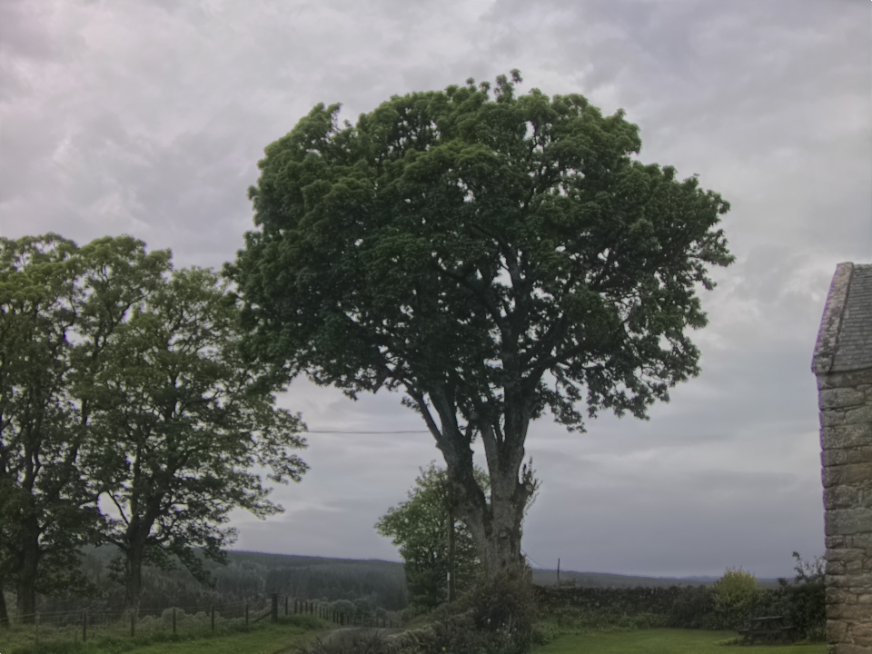 Webcam photo for 07 hrs today