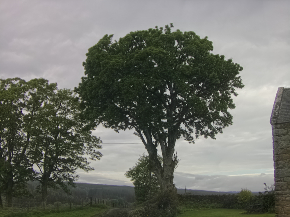 Webcam photo for 08 hrs today